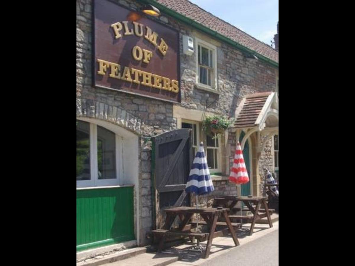 Plume Of Feathers Blagdon Buitenkant foto